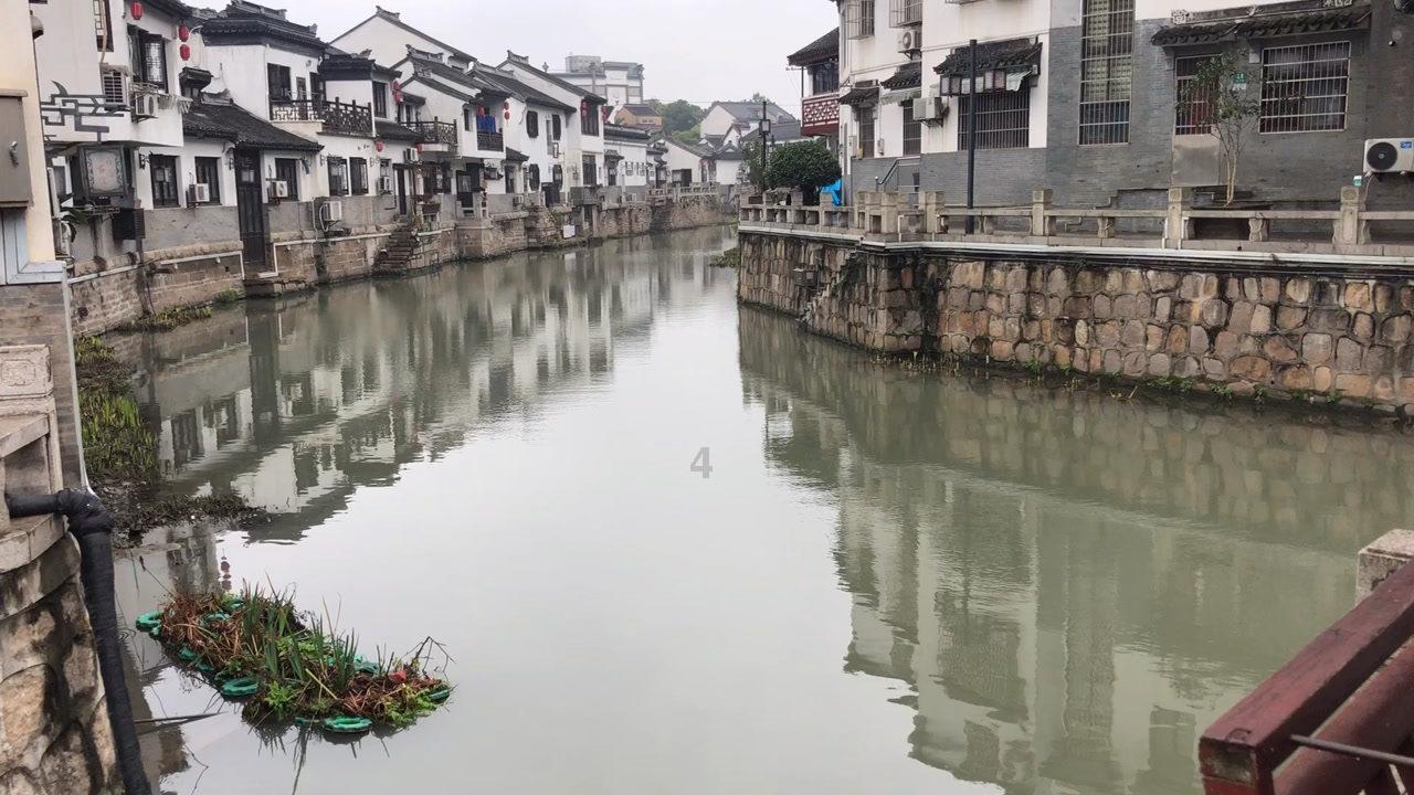 探探猫历险记2